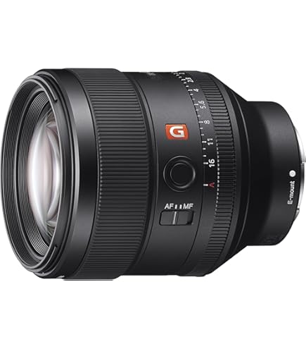 SONY α FE35mm F1.4 GM SEL35F14GM Amazon.com : Sony FE 35mm f/1.4 GM Lens (SEL35F14GM) with